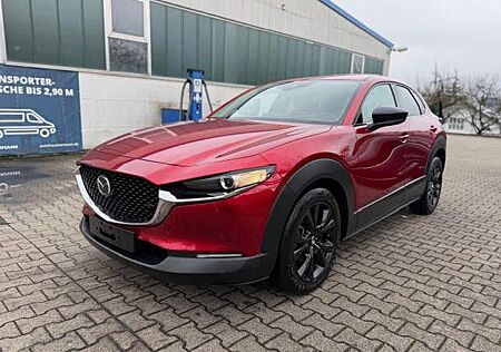 Mazda CX-3 CX-30 Homura/LED/Carplay/Kamera/HeadUp/