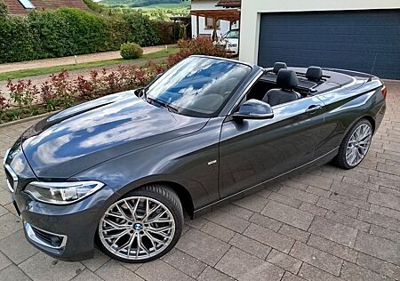 BMW 228i Cabrio*NAVI*LEDER*19ZOLL*unfallfrei*