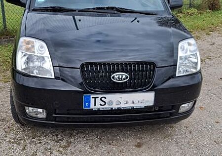 Kia Picanto gebraucht kaufen Kia Picanto 1.1 EX EX