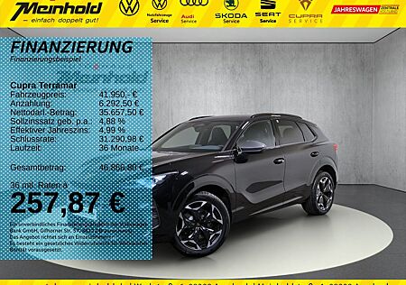 Cupra Terramar 2.0 TSI VZ DSG 4x4, AHK, Kamera, ACC