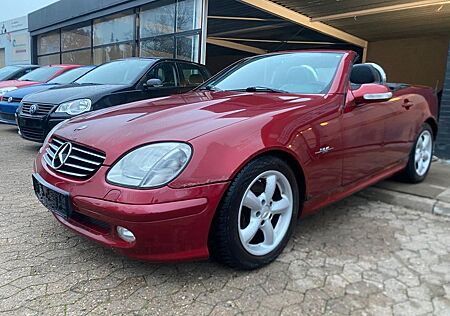 Mercedes-Benz SLK 230 Kompressor "Special Edition"