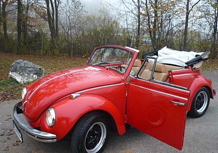 VW Käfer Volkswagen