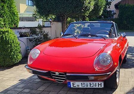 Alfa Romeo Spider Oldtimer