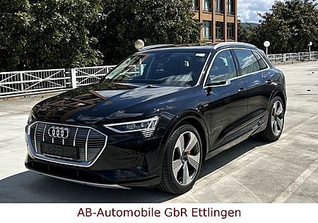 Audi e-tron 55 quattro advanced NP: 110T¤