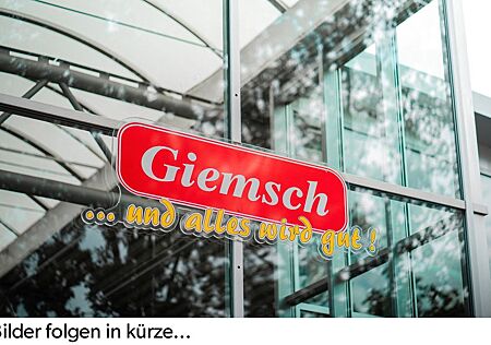 Skoda Octavia Style 2.0 TDI PANO 360° AHK StHz 8-fach