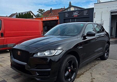 Jaguar F-Pace 20d AWD Pure Automatik Pure