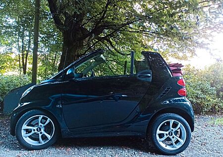 Smart ForTwo Cabrio, Scheckheft,Garantie, top gepflegt