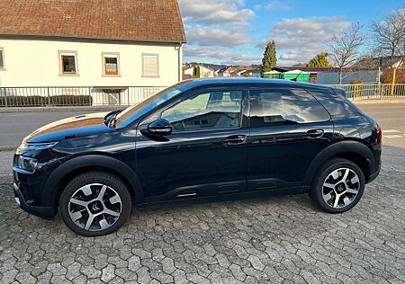 Citroën C4 Cactus Shine PANO ALU LEDER AHK NAVI KEYLESS