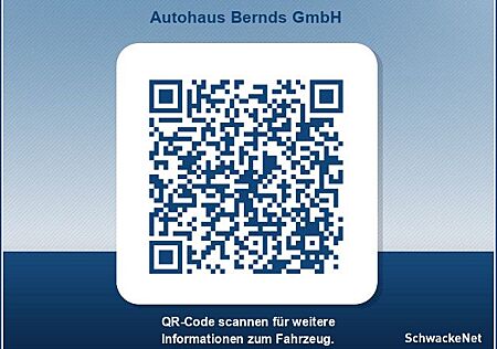 Nissan Juke gebraucht kaufen Nissan Juke 1.0 DIG-T DCT N-Connecta WINTERPAKET
