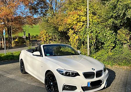 BMW 230i Stept Cabrio MSportp Navi PDC MFL Leder H&K