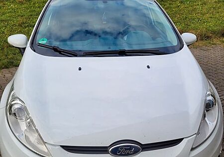 Ford Fiesta Titanium 1.Hand VB