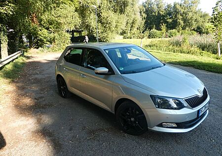 Skoda Fabia 1.2l TSI DSG 7-Gang 81kW AHK