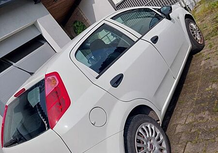 Fiat Punto Zuverlässiger - wenig km - TÜV