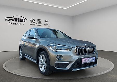 BMW X1 SDrive / 100