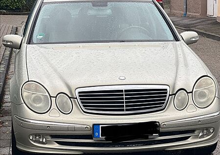 Mercedes-Benz E 500 4MATIC T Avantgarde LPG & Designo Silber