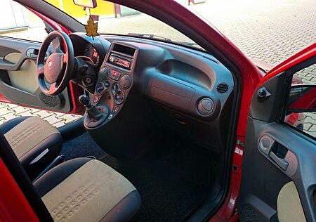 Fiat Panda Klima/Zahnriemen/Inspektion Neu
