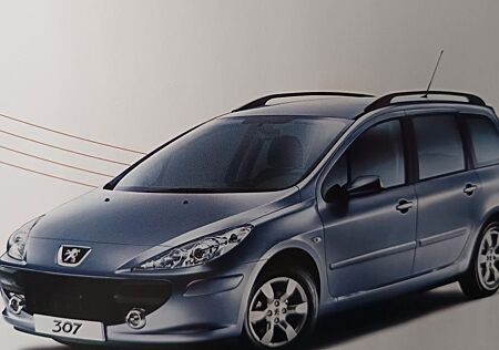 Peugeot 307 Platinum HDi FAP 135 Platinium