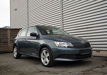 Skoda Fabia Cool Edition*Klima*PDC*