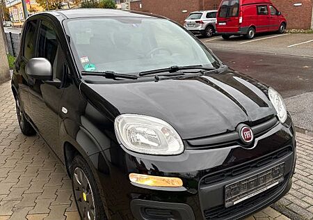 Fiat New Panda 1.2 8V EASY /TOP Zustand/Klima/TÜV