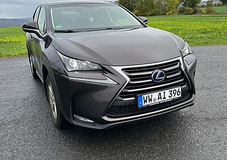 Lexus NX 300 NX 300h