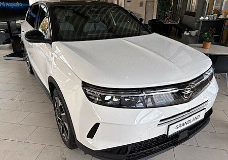 Opel Grandland X gebraucht kaufen Opel Grandland X Grandland 1.2 48V Mild-Hybrid GS Tech-P.+ALLW.