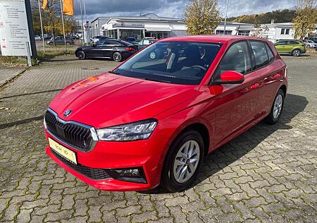 Skoda Fabia 1.0 TSI Selection Tempomat LM Sitzheizung