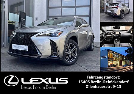 Lexus UX UX250h F-Sport Design * Navi * Winterräder *