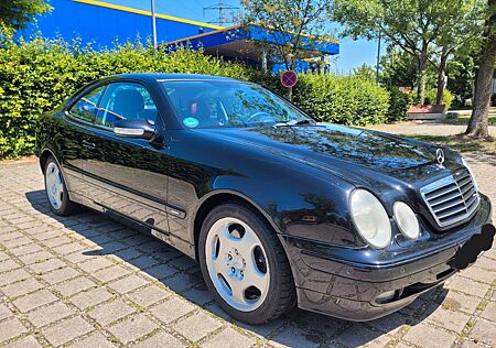 Mercedes-Benz CLK 430 AVANTGARDE TüV 5.27 sehr gepflegt