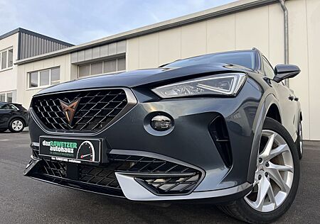 Cupra Formentor 2.0 TDI 150€ m.20% Anz. Digital Cockpi
