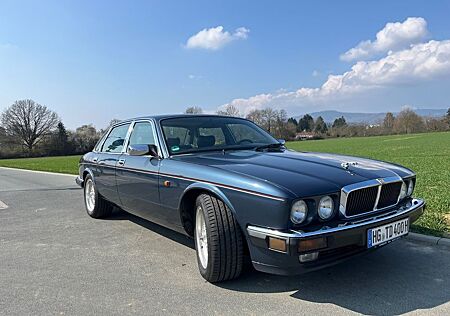 Jaguar XJ12 / XJ81 sehr seltenes Fahrzeug