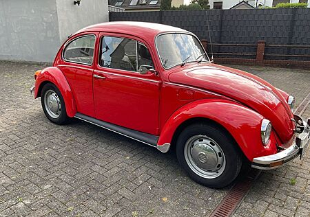 VW Käfer Volkswagen