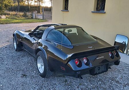 Chevrolet C3 Corvette CORVETTE 1979 T TOP