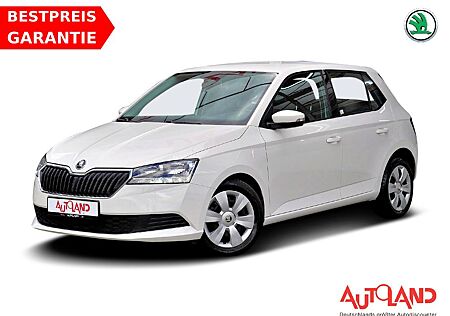 Skoda Fabia 1.0 MPI Active Sitzheizung DAB Bluetooth