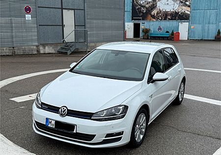 VW Golf Volkswagen 1.6 TDI Comfortline BlueMotion Comfortline