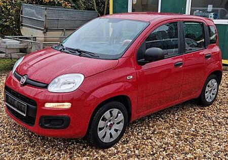 Fiat Panda Pop