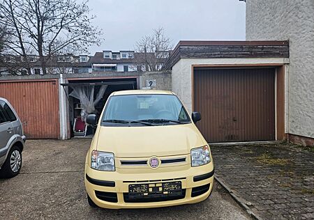 Fiat Panda 1.2 8V Dynamic * Servo * Tüv 6 / 2025