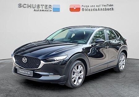 Mazda CX-30 Selection 150 PS BOSE/360° Kamera/Premium-