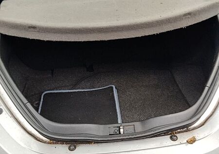 VW Beetle Volkswagen