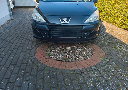 Peugeot 307 Grand Filou Cool 110 Grand Filou Cool