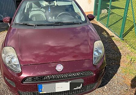 Fiat Punto 1.2 8V POP POP