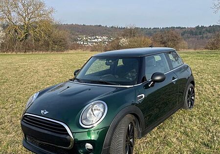 Mini ONE Blackyard