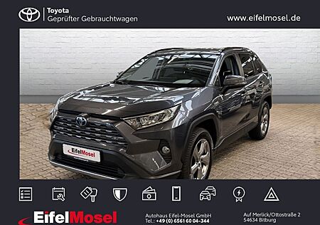 Toyota RAV 4 RAV4 Team D Technik-Paket AHK 15 Jahre Relax Gar