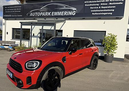 Mini Cooper Countryman Trim Paceman