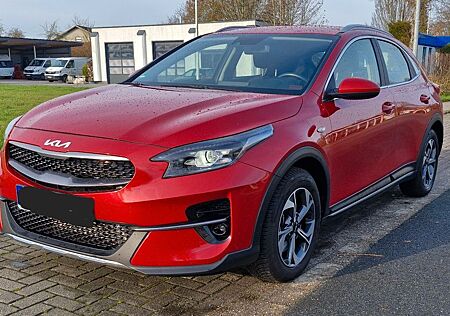 Kia XCeed 1.5 T-GDI Edition 7 160 PS Top Gepflegt