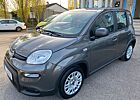 Fiat Panda Base 1.0 Mild-Hybrid-KLIMA-1.HAND-EURO 6