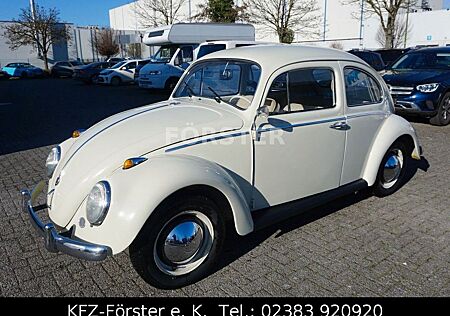 VW Käfer Volkswagen