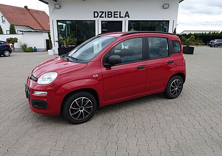 Fiat Panda 1.2 8V MY