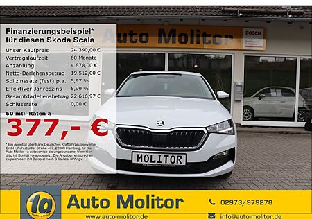Skoda Scala digitales Cockpit LED Sperrdiff. ACC Apple
