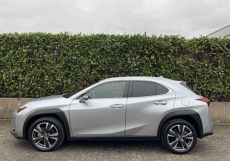 Lexus UX 250 h NEUWAGEN KAMERA LEDER