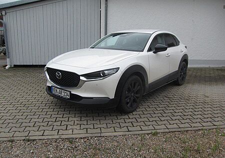 Mazda CX-30 2.5L e-SKYACTIV G 140ps Homura / Head-Up D